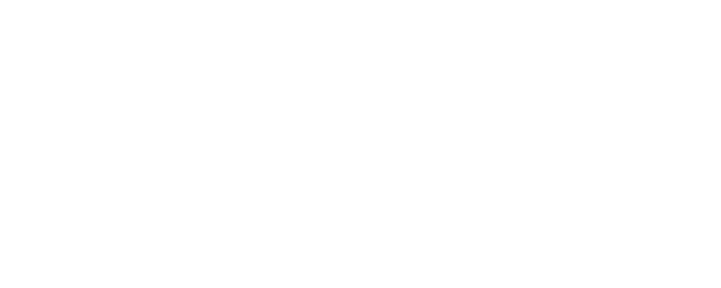Guardian Warm Roof